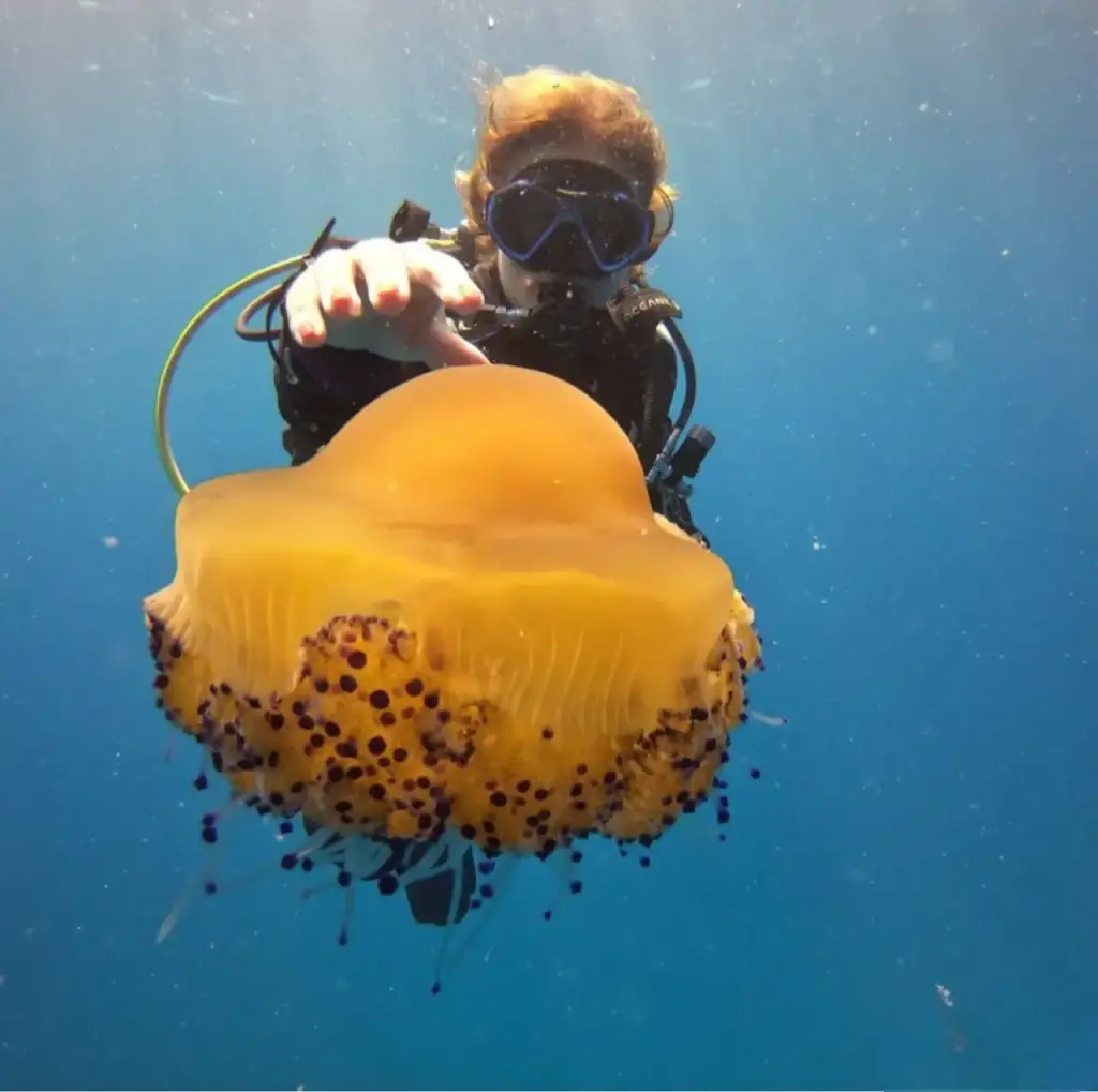 2023_11_23_09_32_IMG_4638-Photoroom