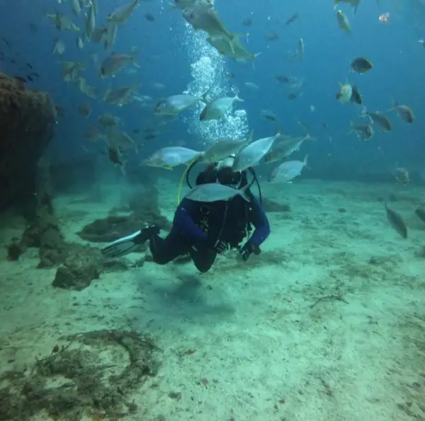 2023_11_23_09_33_IMG_4639-600×596-Photoroom