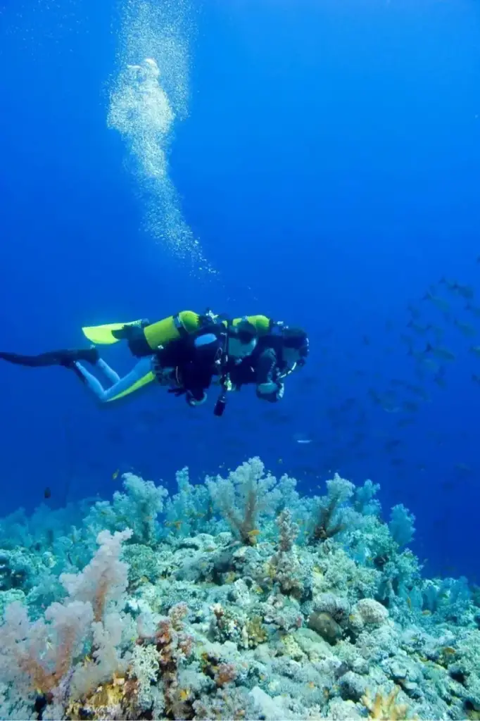 2023_11_23_09_36_IMG_4642-Photoroom