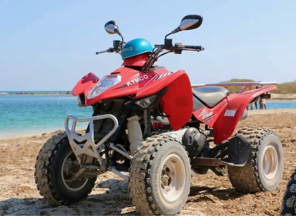 2023_11_23_10_04_IMG_4678-1-Photoroom