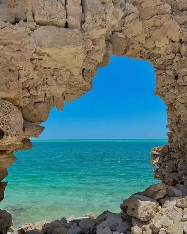 2023_11_23_10_09_IMG_4684-600×750-Photoroom