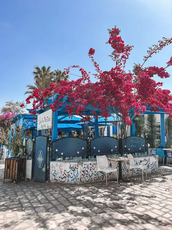 2023_11_23_10_16_IMG_4692-scaled-600×800-Photoroom