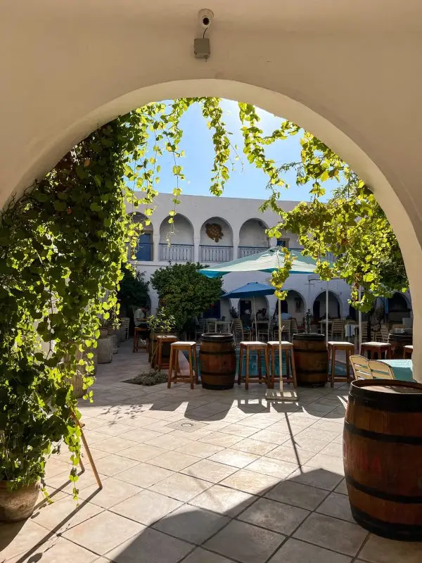 2023_11_23_10_17_IMG_4694-scaled-600×800-Photoroom