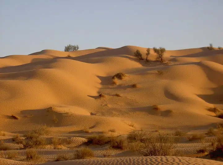 217304_216582088354055_5684979_n