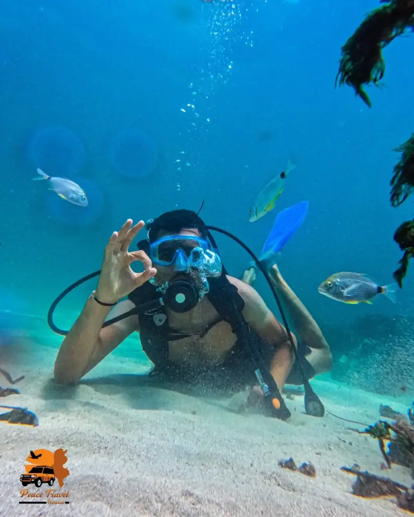 495841319_18159304615361376_9203046759324360641_n