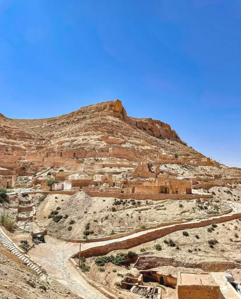 WhatsApp-Image-2024-02-05-a-09.53.33_1f449163-Photoroom