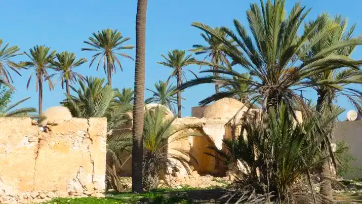 img_12_1747347595283